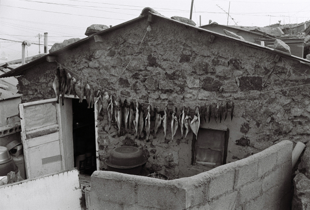 영도 민가에서 생선 말리는 풍경. 이춘근 씨의 사진 중 한 점. 부산근현대역사관 제공