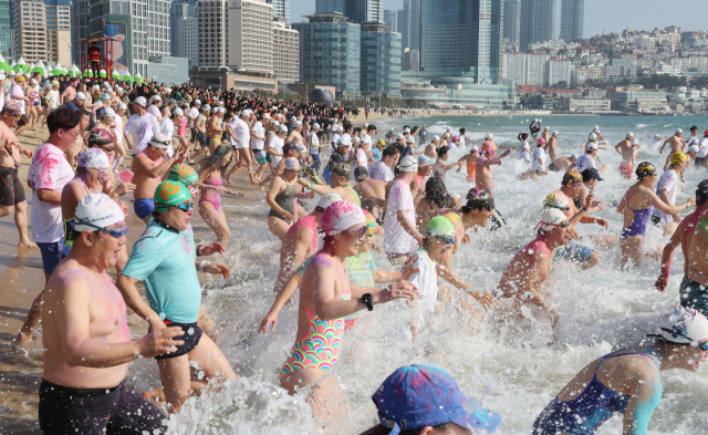 제39회 해운대 북극곰축제 참가자들이 차가운 겨울바다에 뛰어들고 있다. 정종회 기자 jjh@