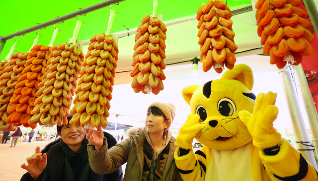 올해 축제에는 11만여 명의 관광객이 방문했으며 함양고종시 곶감을 비롯한 농·특산물 8억 원어치가 판매됐다. 함양군 제공