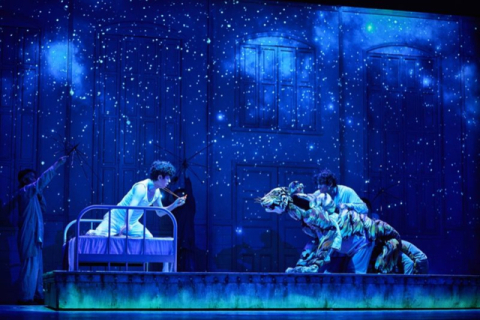 뮤지컬 ‘라이프 오브 파이’ 스틸컷. 에스앤코 제공