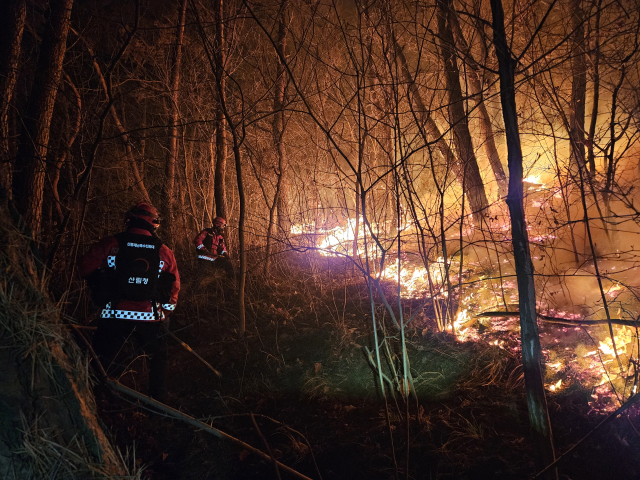 지난 7일 오후 9시 40분께 경북 경주시 문무대왕면 입천리 야산에서 산불이 발생해 산림 당국이 진화작업을 이틀째 벌이고 있다. 연합뉴스