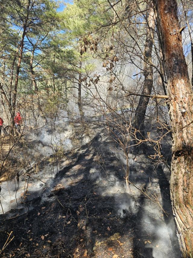 7일 오후 2시 5분께 인근 경남 거창군 주상면 내오리 한 야산에서 산불이 나 20여 분 만에 진화됐다. 산림청 제공
