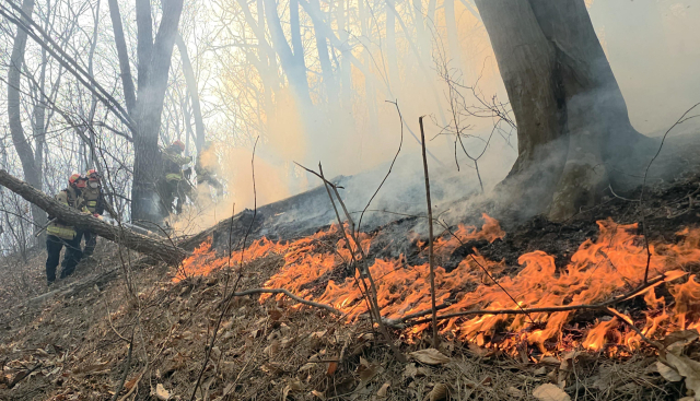 8일 경북 경주시 문무대왕면 입천리에서 소방대원들이 전날부터 이어진 산불을 진화하고 있다. 연합뉴스