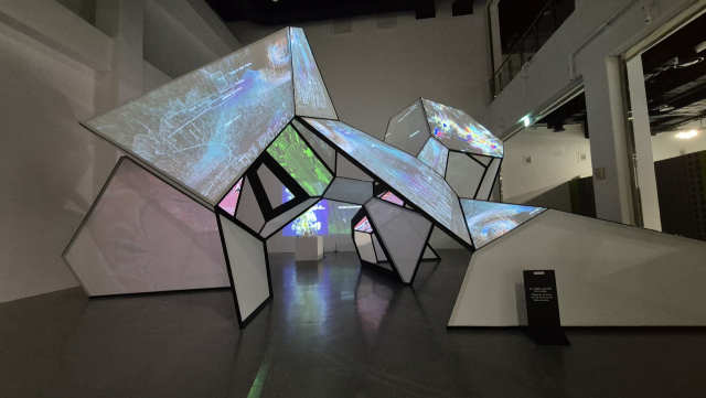 포자몽, '마이코셀 유니버스: 균류와 인간의 공존'(MycoCell Universe). 부산현대미술관 제공