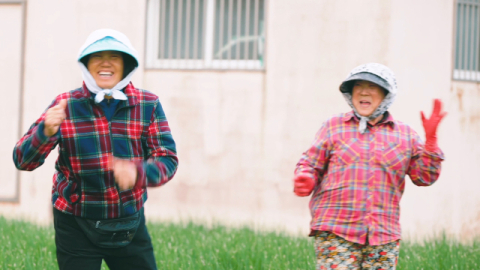 문동마을 주민들이 쪽파밭에서 신나게 흔들기 막춤을 추고 있다. 문동생활권 어촌신활력증진사업 앵커조직 제공