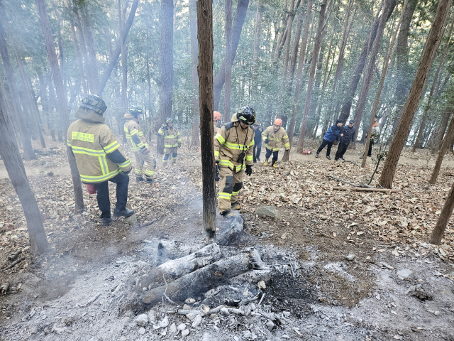 20일 오후 3시 30분께 부산 부산진구 초읍동 성지곡수원지 인근에서 3건의 화재가 잇따라 발생했다. 부산소방재난본부 제공