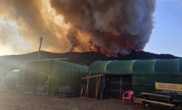 23일 오후 4시 10분께 경남 밀양시 삼랑진읍 검세리 한 야산에서 불이 나 연기가 발생하고 있다. 연합뉴스