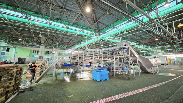 부산공동어시장 위판장에 2024년 설치된 선어 선별기 모습. 여기서 분류된 생선을 자동으로 포장하는 포장기가 오는 6일 선별기 옆에 설치될 예정이다. 부산일보DB