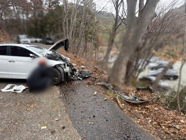 1일 오후 2시 9분께 부산 기장군 장안읍 장안사 인근 한 도로에서 내리막길을 달리던 승용차가 나무를 들이받아 1명이 숨지고 1명이 다쳤다. 부산 기장경찰서 제공