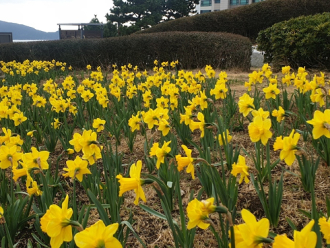 부산 남구 이기대공원.