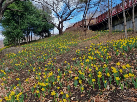 부산 남구 황령산유원지.