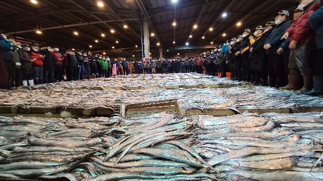 부산공동어시장에서 갈치가 대량으로 위판됐다. 부산일보DB