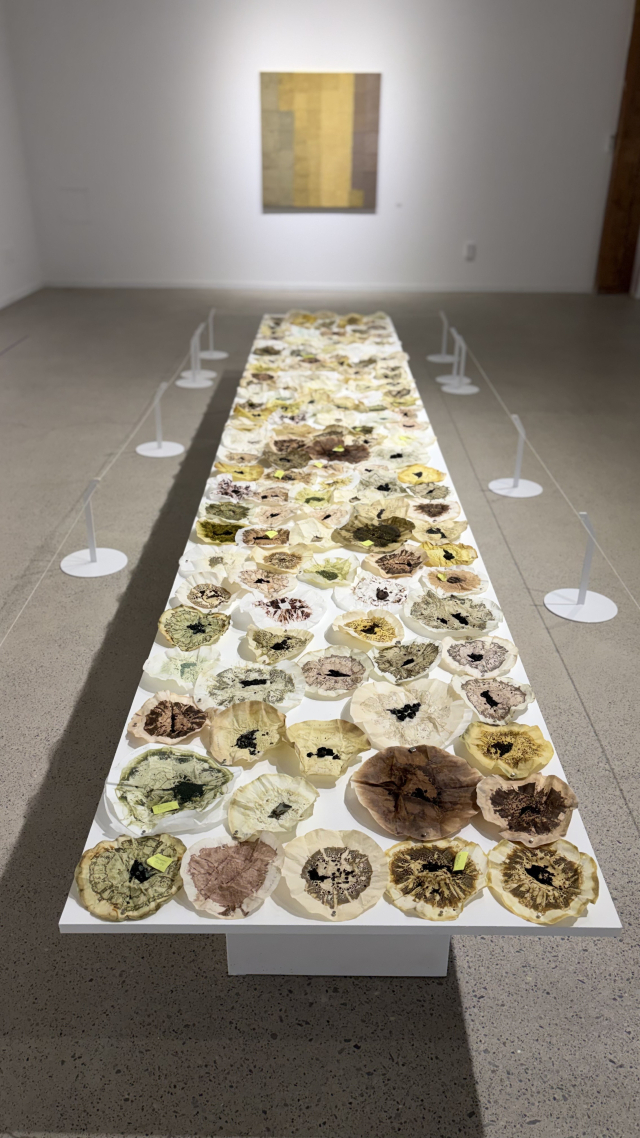 연구 기반 작업을 이어 오는 이소요 작가가 가파도에서 레이크안료 식물펄프를 얻는 과정을 보여주는 장면. 김은영 기자 key66@