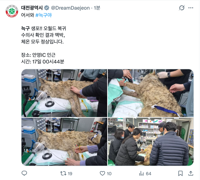 대전광역시 엑스 게시글 화면 갈무리