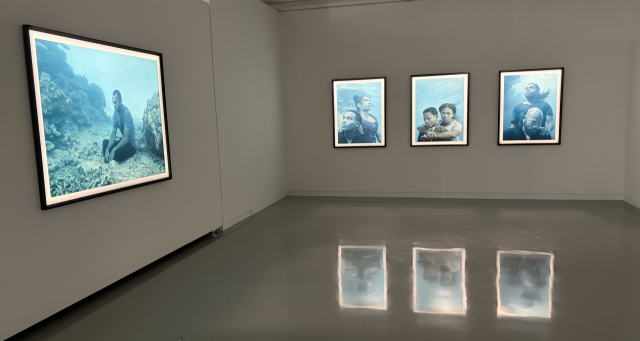 금정문화회관 금샘미술관 기획 전시 ‘지구 앞에 서다_위태로운 경계에서’ 선보인 닉 브란트(Nick Brandt)의 작품들. 피지에서 수중 촬영한 것들이다. 김은영 기자 key66@
