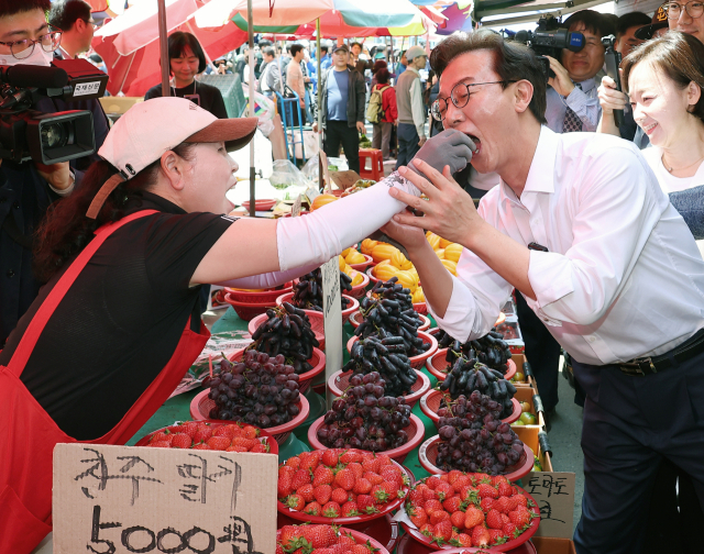 부산시장에 출마하는 더불어민주당 전재수 의원(북구갑)이 지난 27일 오후 부산 북구 구포시장을 찾아 감사 편지를 낭독한 뒤 상인이 주는 딸기를 맛보고 있다. 전 의원은 구포시장이 있는 북구갑에서 3선 의원을 지냈다. 연합뉴스