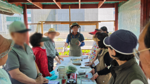 수영구 민락동, ‘백산마을 까치텃밭 교실’ 수확 채소로 함께 나눈 정