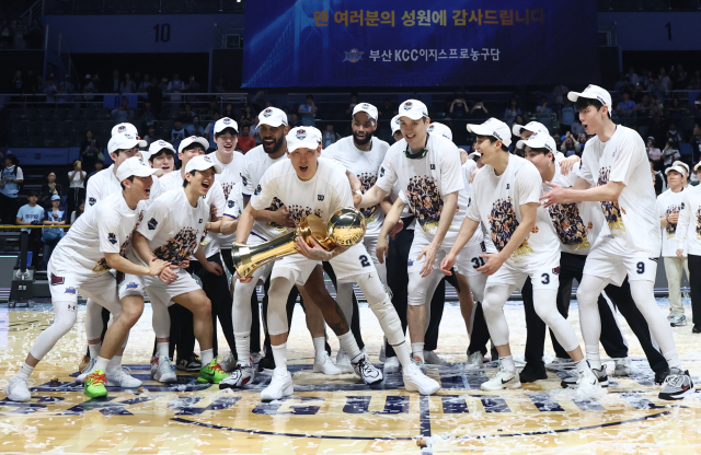 지난 13일 고양 소노아레나에서 KBL 플레이오프 챔피언 결정전에서 KCC 선수들이 우승한 뒤 기뻐하고 있다. 연합뉴스