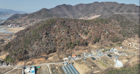 4년 새 5배↑… 소나무재선충, 경남 산림 집어삼켰다