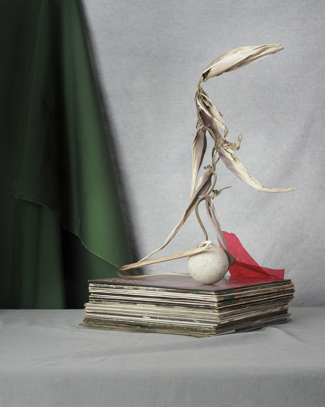조성연의 '우연한 때에 예기치 않았던'(2021). 카린 갤러리 제공