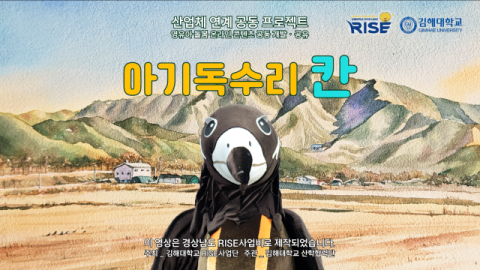 화포천습지 철새를 모티브로 개발한 아기독수리 칸 교육콘텐츠. 김해대 제공