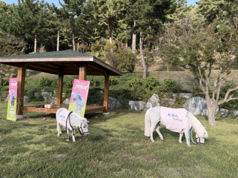 렛츠런파크 부산경남이 지난 4일 내원정사에서 마생연분을 시행했다. 렛츠런파크 부산경남